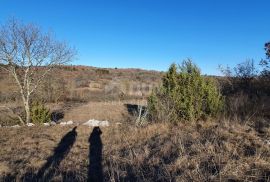 ISTRA, GROŽNJAN - Kompleks građevinskog i poljoprivrednog zemljišta panoramskog pogleda, Grožnjan, Arazi