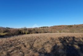 ISTRA, GROŽNJAN - Kompleks građevinskog i poljoprivrednog zemljišta panoramskog pogleda, Grožnjan, Terrain