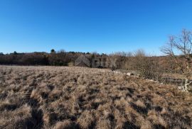 ISTRA, GROŽNJAN - Kompleks građevinskog i poljoprivrednog zemljišta panoramskog pogleda, Grožnjan, Γη