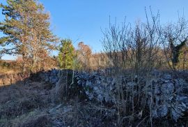 ISTRA, GROŽNJAN - Prekrasno građevinsko zemljište na osami, Grožnjan, Terreno