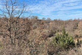 ISTRA, VODNJAN - Kompleks zemljišta za stanciju, Vodnjan, Terrain