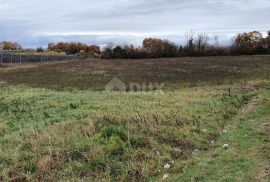 ISTRA, BRTONIGLA - Zemljište stambeno-poslovne namjene s idejnim projektom za gradnju benzinske crpke, Brtonigla, Terra