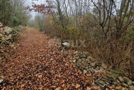 ISTRA,RAKALJ-Poljoprivredno zemljište na odličnoj lokaciji, Marčana, Arazi