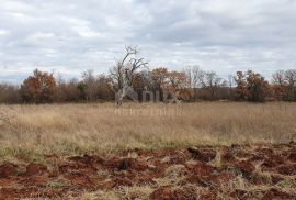 ISTRA, BALE - Prostrano građevinsko zemljište, idealno za investiciju, Bale, Land