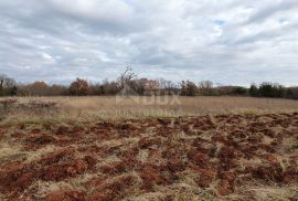 ISTRA, BALE - Prostrano građevinsko zemljište, idealno za investiciju, Bale, Tierra