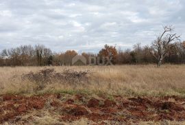 ISTRA, BALE - Prostrano građevinsko zemljište, idealno za investiciju, Bale, Tierra