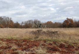 ISTRA, BALE - Prostrano građevinsko zemljište, idealno za investiciju, Bale, Tierra