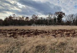 ISTRA, BALE - Prostrano građevinsko zemljište, idealno za investiciju, Bale, Terra