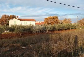 ISTRA, SVETI LOVREČ - građevinsko zemljište i maslinik, Sveti Lovreč, Land