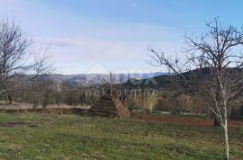 ISTRA, RAKOTULE - Građevinsko zemljište s pogledom na Motovun, Karojba, Γη