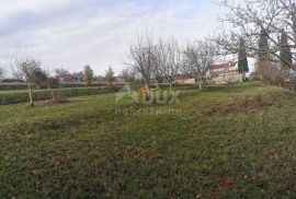 ISTRA, RAKOTULE - Građevinsko zemljište s pogledom na Motovun, Karojba, Terrain