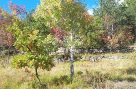 ISTRA, BUZET - Atraktivno zemljište koje nudi više mogućnosti, Buzet, Land