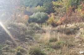 ISTRA, BUZET - Atraktivno zemljište koje nudi više mogućnosti, Buzet, Terreno