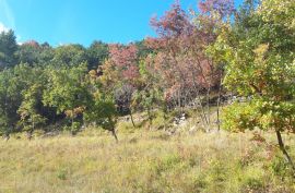 ISTRA, BUZET - Atraktivno zemljište koje nudi više mogućnosti, Buzet, Land