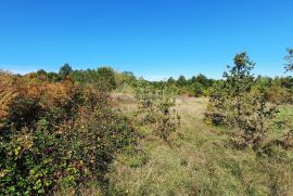 ISTRA, BARBAN - Poljoprivredno zemljište 5167 m2 u okolici Barbana, Barban, Terrain