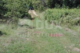 ISTRA, BARBAN - Poljoprivredno zemljište 5167 m2 u okolici Barbana, Barban, Land