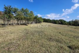 ISTRA, GROŽNJAN - Prostrano građevinsko zemljište na osami, Grožnjan, Land