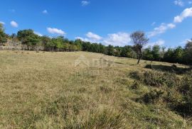 ISTRA, GROŽNJAN - Prostrano građevinsko zemljište na osami, Grožnjan, Terreno