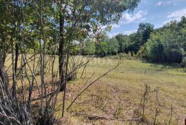 ISTRA, GROŽNJAN - Prostrano građevinsko zemljište na osami, Grožnjan, Land