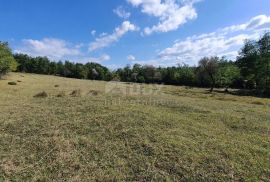 ISTRA, GROŽNJAN - Prostrano građevinsko zemljište na osami, Grožnjan, Tierra