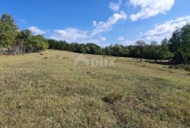 ISTRA, GROŽNJAN - Prostrano građevinsko zemljište na osami, Grožnjan, Arazi