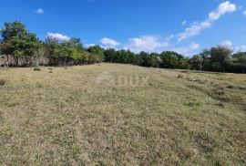 ISTRA, GROŽNJAN - Prostrano građevinsko zemljište na osami, Grožnjan, Terrain