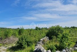 ISTRA, LABIN - Prostrano građevinsko zemljište stambene namjene na osami, 1 km od mora, Labin, Terrain