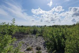 ISTRA, LABIN - Prostrano građevinsko zemljište stambene namjene na osami, 1 km od mora, Labin, Terra