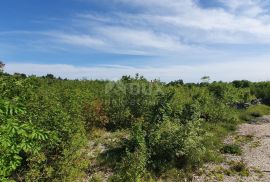 ISTRA, LABIN - Prostrano građevinsko zemljište stambene namjene na osami, 1 km od mora, Labin, Terra