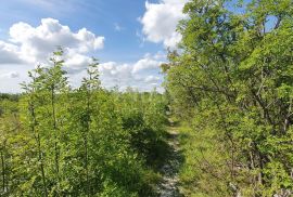 ISTRA, LABIN - Prostrano građevinsko zemljište stambene namjene na osami, 1 km od mora, Labin, Land