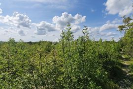 ISTRA, LABIN - Prostrano građevinsko zemljište stambene namjene na osami, 1 km od mora, Labin, Terreno