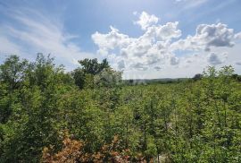 ISTRA, LABIN - Prostrano građevinsko zemljište stambene namjene na osami, 1 km od mora, Labin, Land