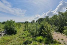 ISTRA, LABIN - Prostrano građevinsko zemljište stambene namjene na osami, 1 km od mora, Labin, Terra