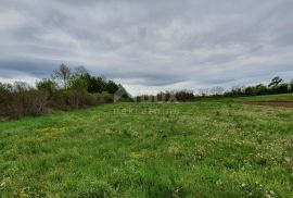 ISTRA, ŽMINJ - Poljoprivredno zemljište nedaleko centra, Žminj, Tierra