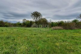 ISTRA, ŽMINJ - Poljoprivredno zemljište nedaleko centra, Žminj, Terra