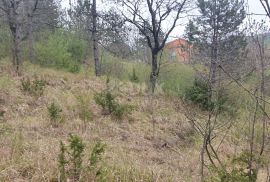 ISTRA, PAZIN, CEROVLJE - Prostrano građevinsko zemljište u srcu Istre, Cerovlje, Land