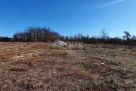 ISTRA, SVETVINČENAT - Stancija 27283m2 s lokacijskom dozvolom i idejnim projektom, Svetvinčenat, Tierra