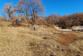 ISTRA, SVETVINČENAT - Stancija 27283m2 s lokacijskom dozvolom i idejnim projektom, Svetvinčenat, Land