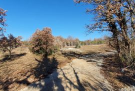 ISTRA, SVETVINČENAT - Stancija 27283m2 s lokacijskom dozvolom i idejnim projektom, Svetvinčenat, Tierra