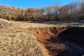 ISTRA, SVETVINČENAT - Stancija 27283m2 s lokacijskom dozvolom i idejnim projektom, Svetvinčenat, Land