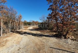 ISTRA, SVETVINČENAT - Stancija 27283m2 s lokacijskom dozvolom i idejnim projektom, Svetvinčenat, Γη