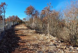 ISTRA, SVETVINČENAT - Stancija 27283m2 s lokacijskom dozvolom i idejnim projektom, Svetvinčenat, Land