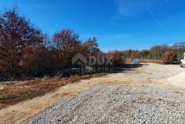 ISTRA, SVETVINČENAT - Stancija 27283m2 s lokacijskom dozvolom i idejnim projektom, Svetvinčenat, Land