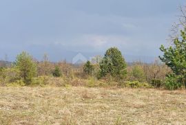 ISTRA, GRAČIŠĆE - Vinograd, maslinik, livada i šuma s prekrasnim pogledom, Gračišće, أرض