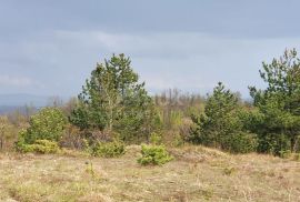 ISTRA, GRAČIŠĆE - Vinograd, maslinik, livada i šuma s prekrasnim pogledom, Gračišće, Terrain