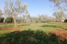 ISTRA, VIŽINADA - Građevinsko zemljište na brežuljku s panoramskm pogledom, Vižinada, Land