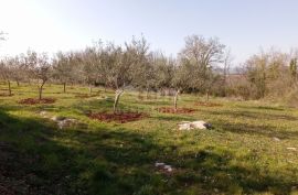 ISTRA, VIŽINADA - Građevinsko zemljište na brežuljku s panoramskm pogledom, Vižinada, Γη