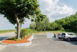 ISTRA, MOTOVUN - Kuća na jedinstvenom položaju i s jedinstvenom ponudom u Istri, Motovun, Casa