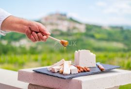 ISTRA, MOTOVUN - Kuća na jedinstvenom položaju i s jedinstvenom ponudom u Istri, Motovun, House