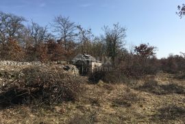 ISTRA, SMOLJANCI - Građevinsko i poljoprivredno zemljište T2 namjene, Svetvinčenat, Terrain